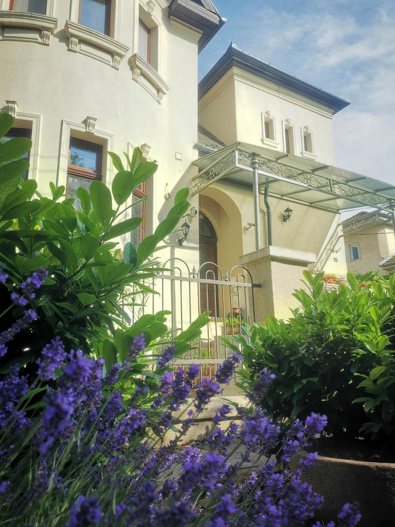 Kuria Apartman With Private Jacuzzi And Pool Budapeste Exterior foto